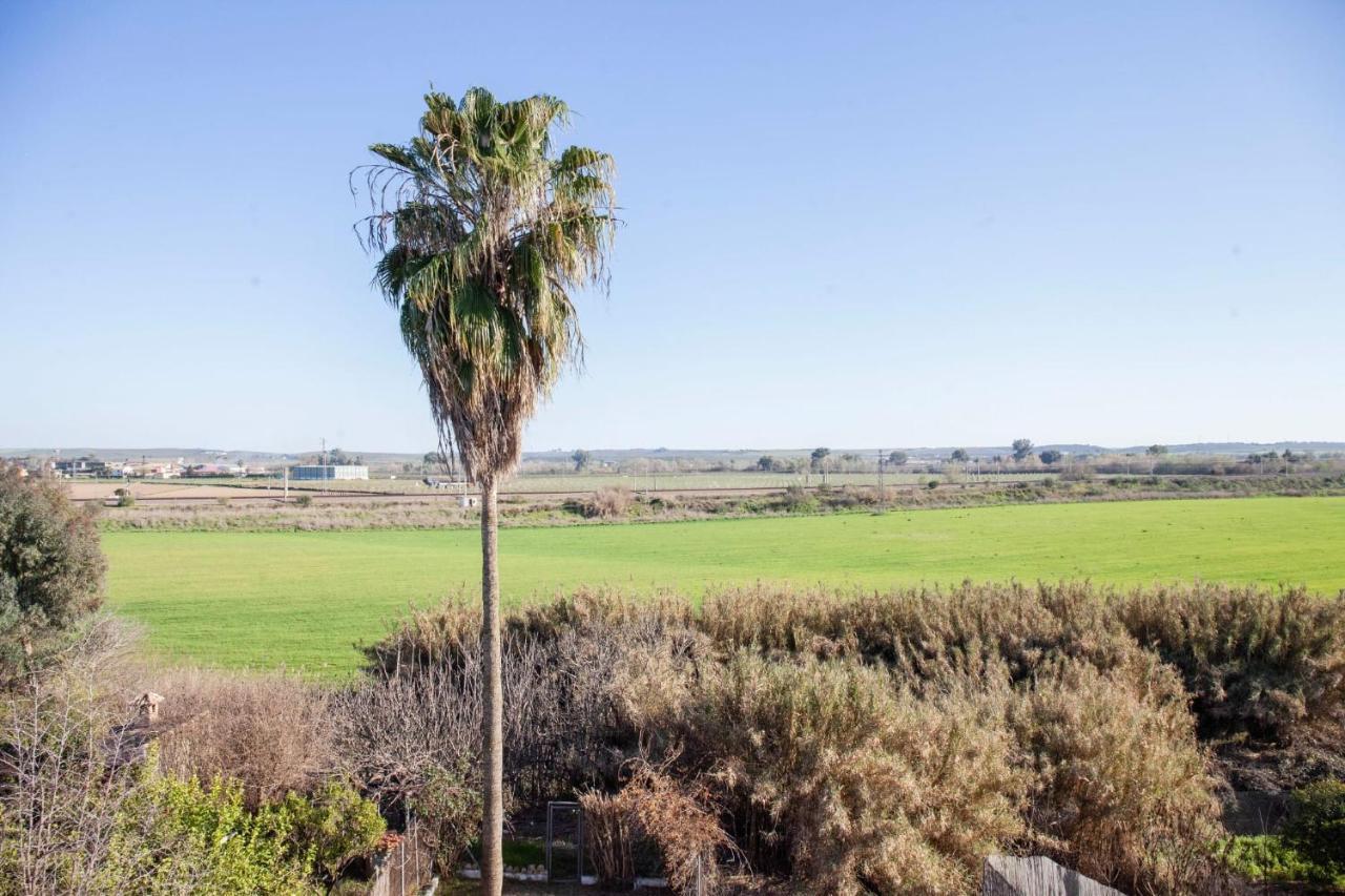 Casa Rural La Palmera Almodóvar del Río Eksteriør billede