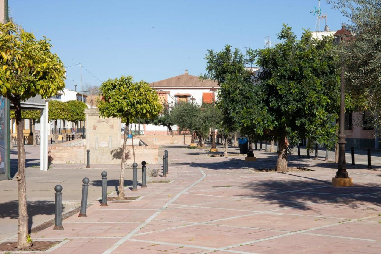 Casa Rural La Palmera Almodóvar del Río Eksteriør billede
